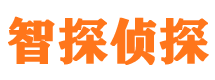 眉山市场调查